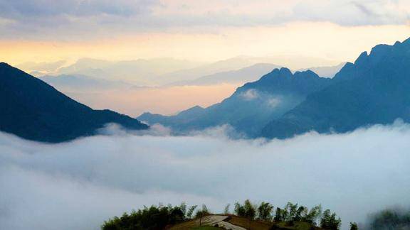 一曲妙音茶香白云飘听琴品茗静心养性