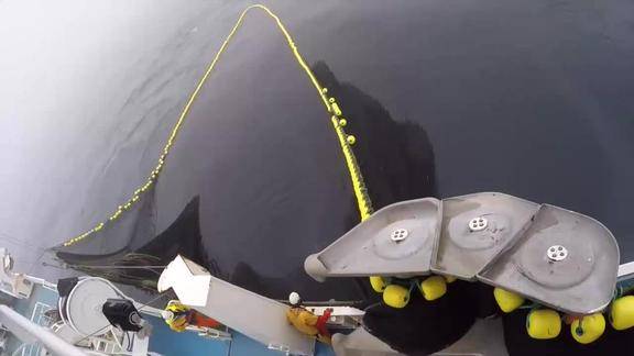 这才是高科技捕鱼那么大的一张渔网根本都不需要人工的操作