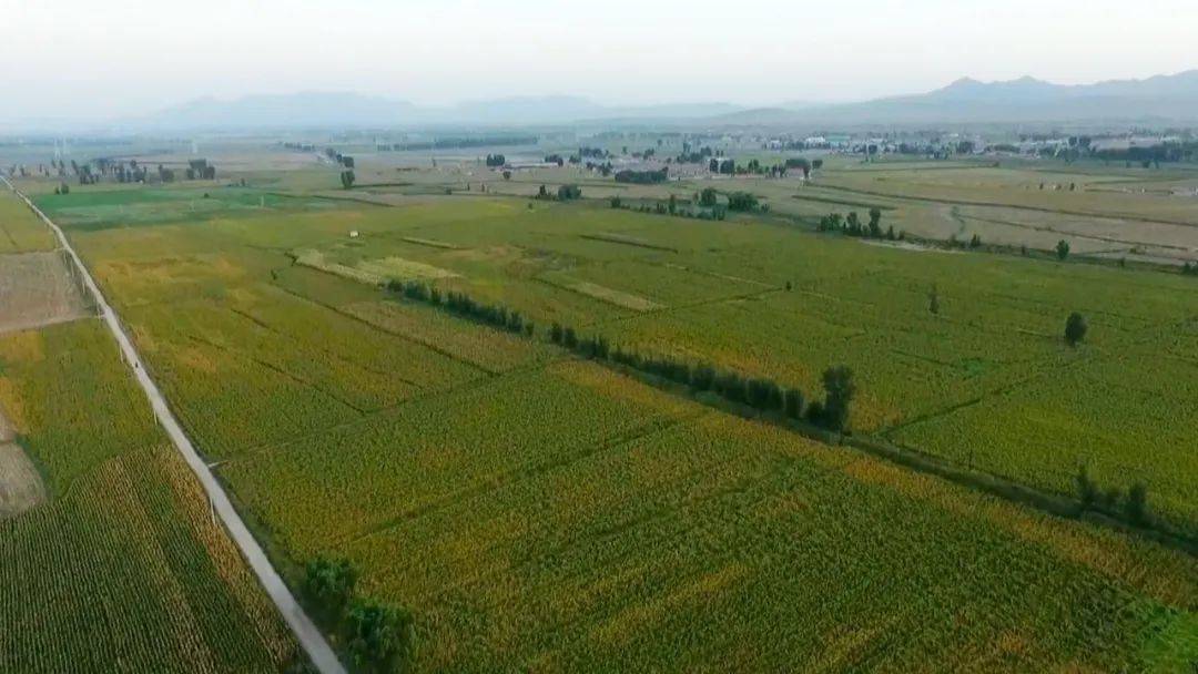 点绿成金宣化这个农业大乡太赞了
