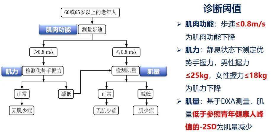 老年肌少症与糖脂代谢异常需要关注的临床问题