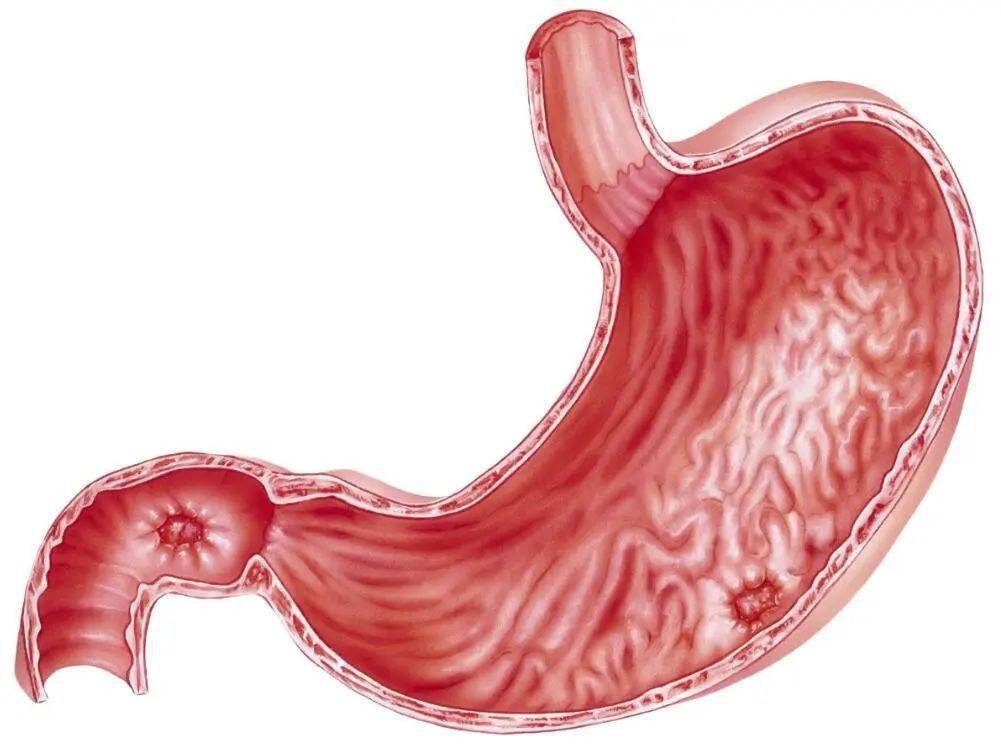胃病反复是这些事情没做对