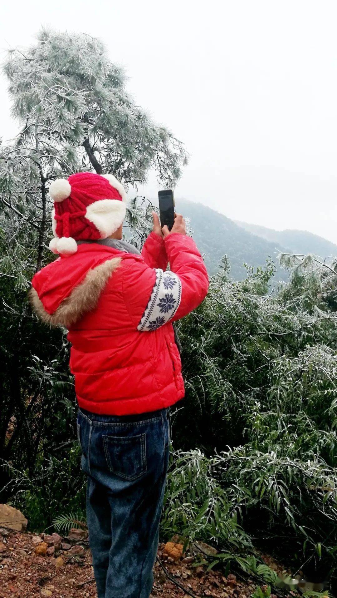 昭平这地方冷得结冰了雾凇冰凌世界非常漂亮