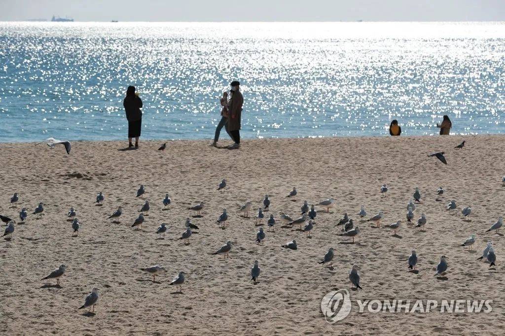 韩国海平面近30年平均每年上升3.12毫米 升速继续加快