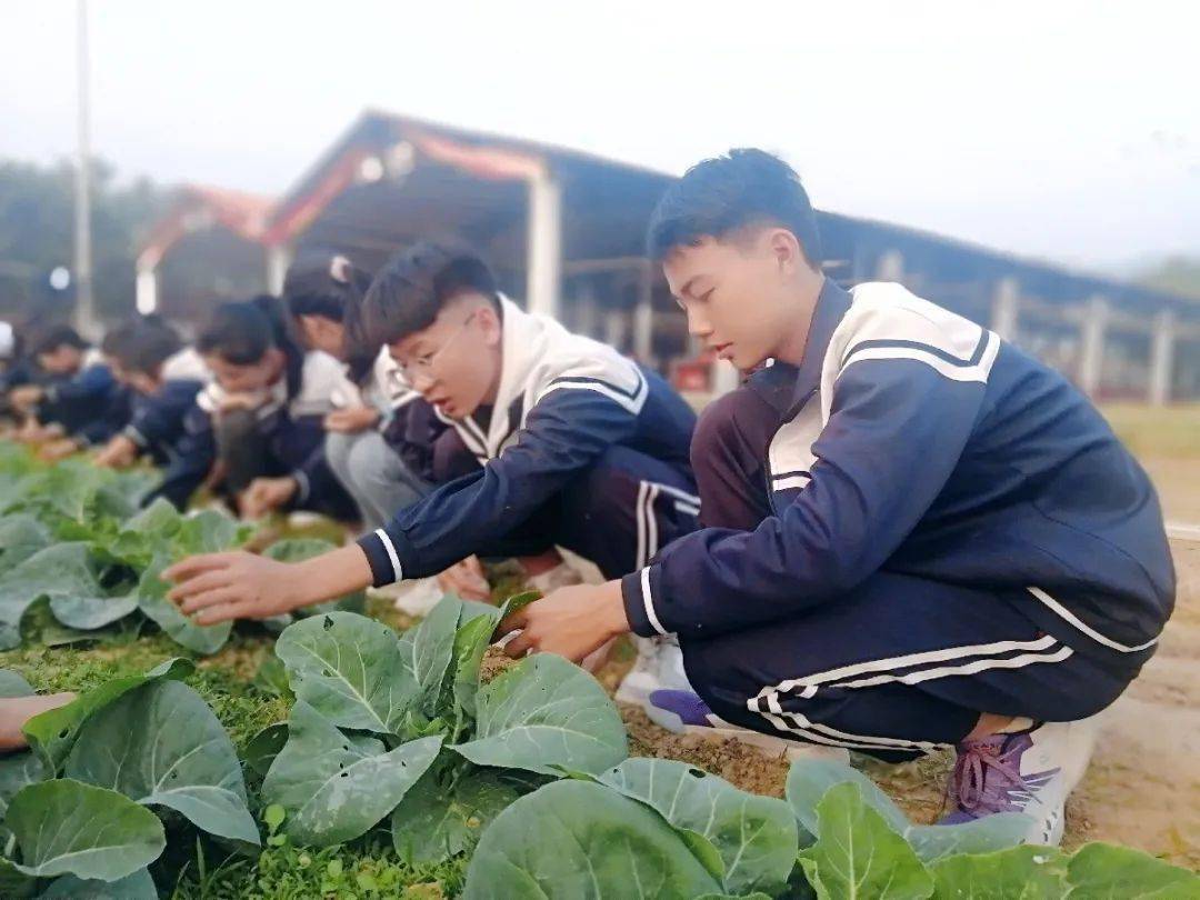 漳浦县丹山中学图片