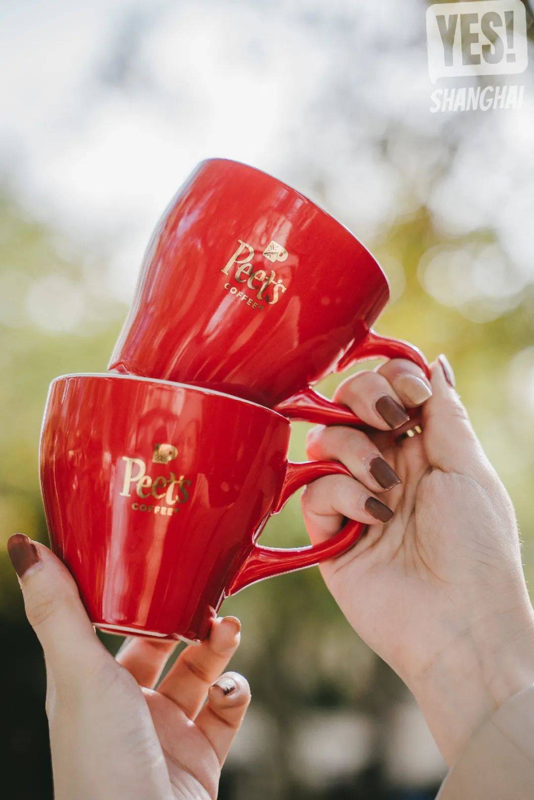 皮爷限定「新年红咖啡」来了!只卖一个冬天!