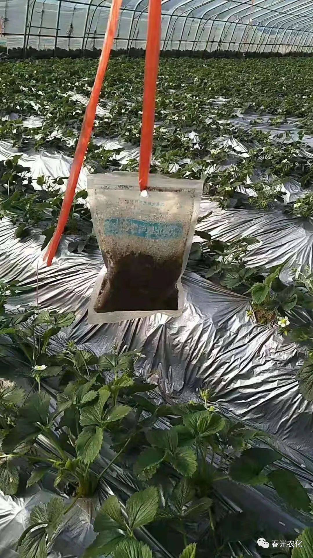 看得见的二氧化碳气肥您使用过吗