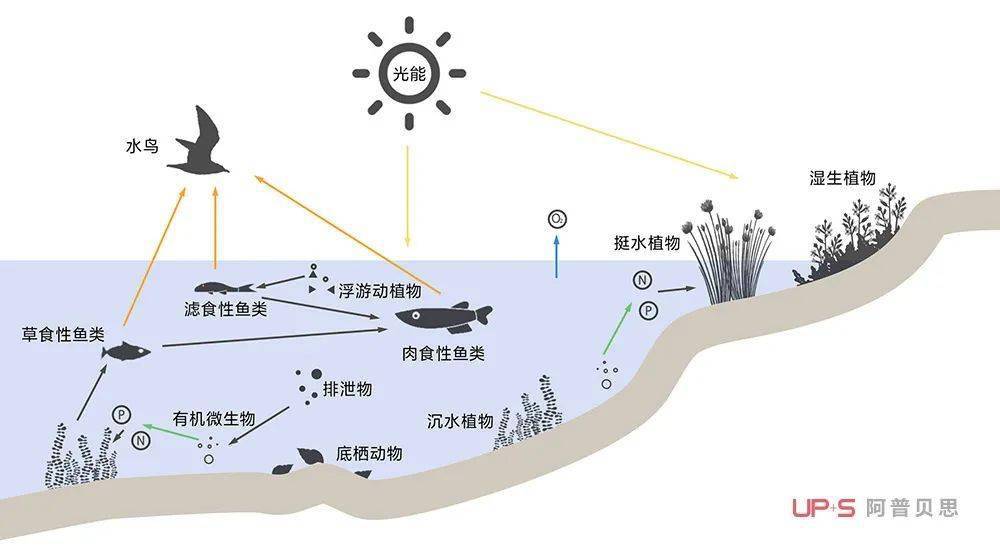 返璞归真的心灵居所 