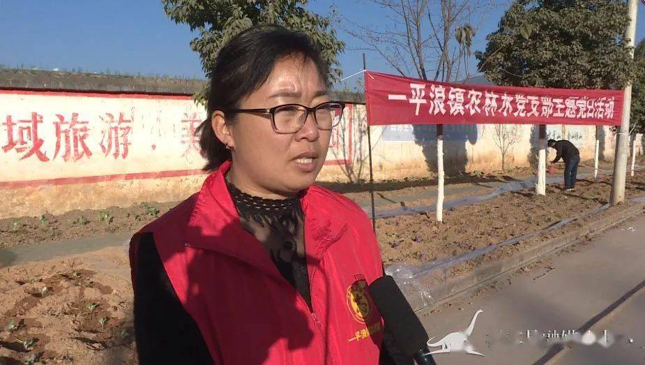 一平浪镇主题党日为美丽家园增绿添彩