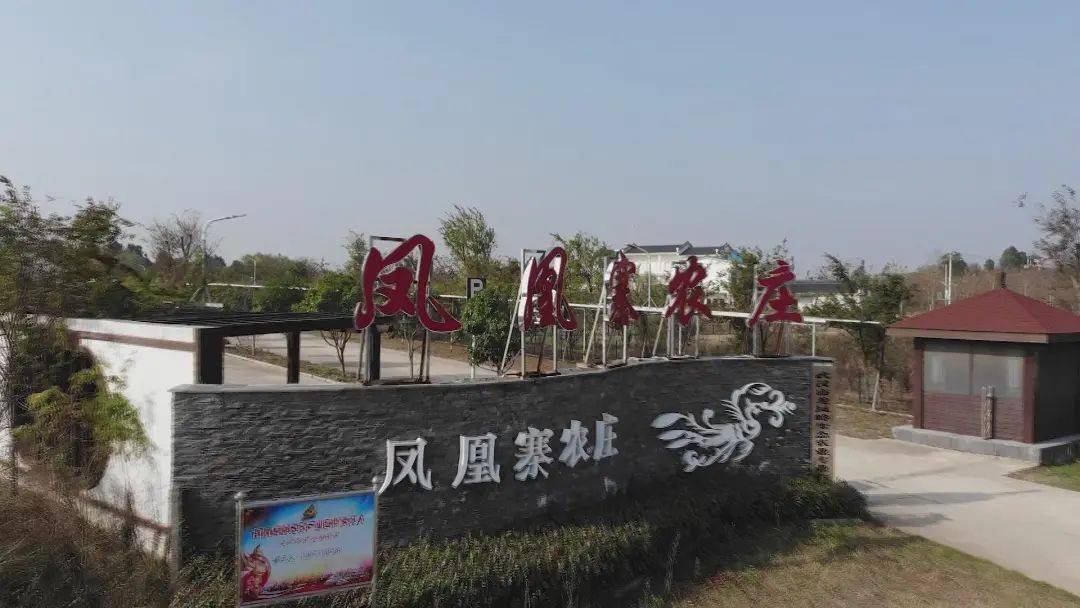 "现在我来到了黄陂区凤凰寨村,这里背靠着凤凰山,面朝凤凰河,是一处