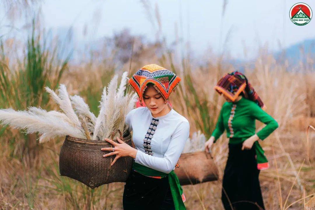 越南老街省白傣美图