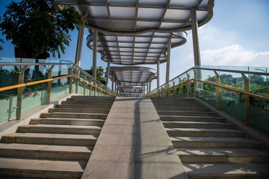 高颜值再度来袭罗湖这批天桥怎一个美字了得