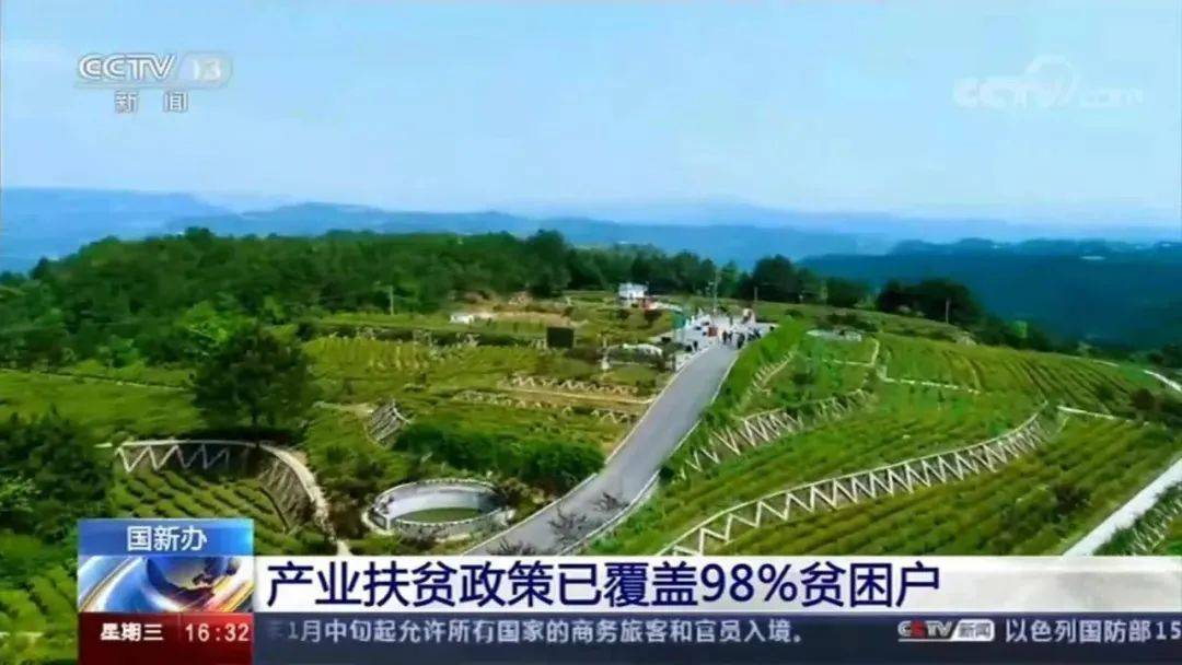 点赞旺苍特色产业扶贫成果登上央视新闻联播新闻直播间