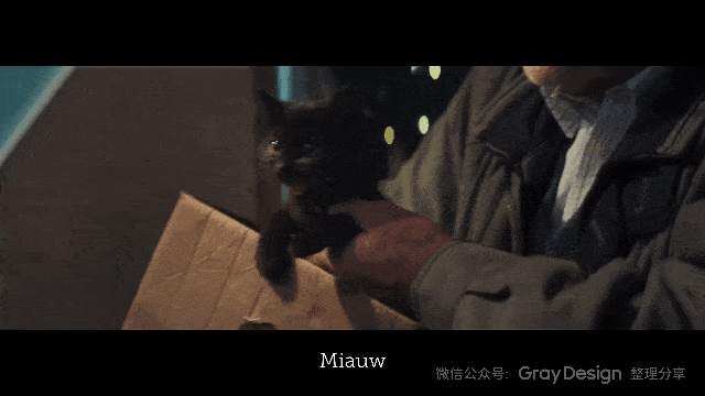 谁说黑猫不能带来好运?