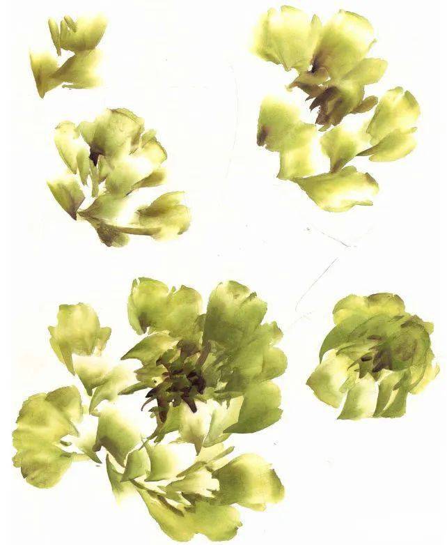 漶漫的韵味可以起到界定淡色宣纸的边缘,具体画法是以侧锋色笔稍离瓣