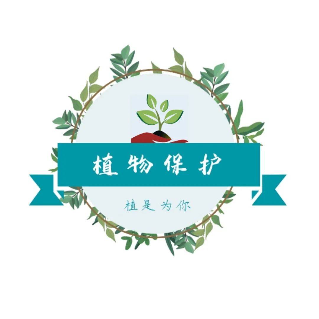 植学动态扬青春魅力展植保风采植物保护学院举办第三届植物保护专业