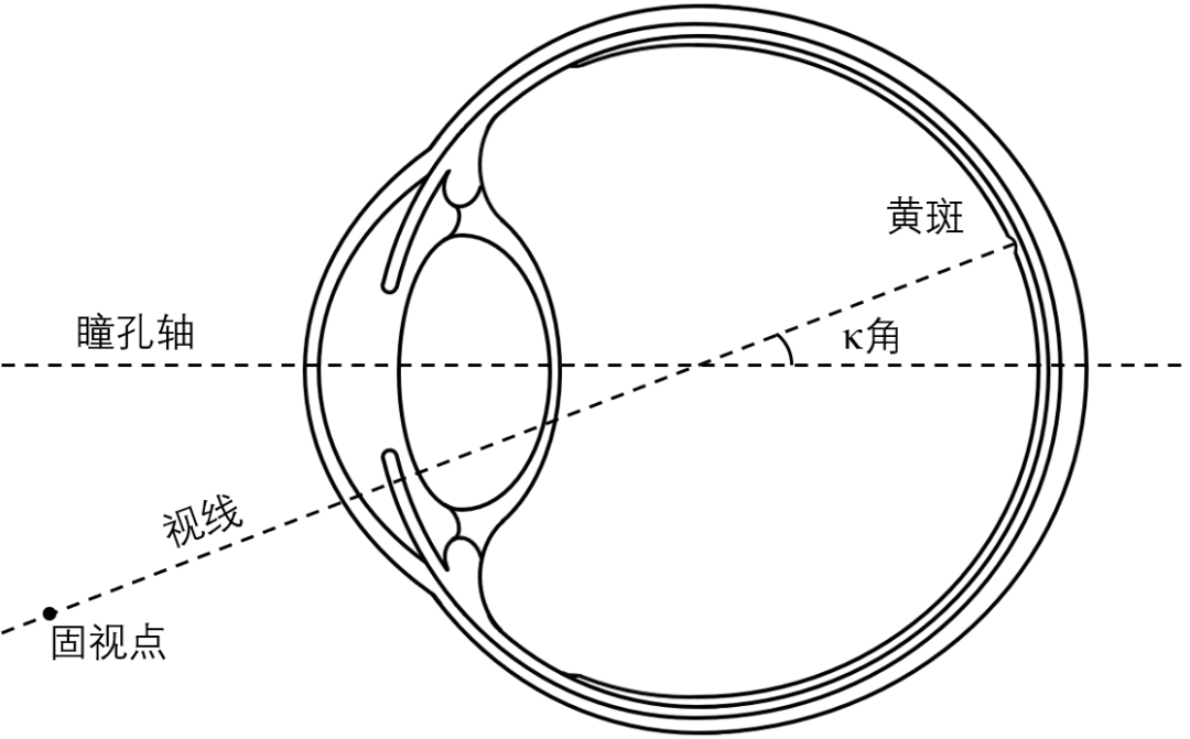 瞳孔轴是经过瞳孔中心,垂直于角膜前表面的直线.