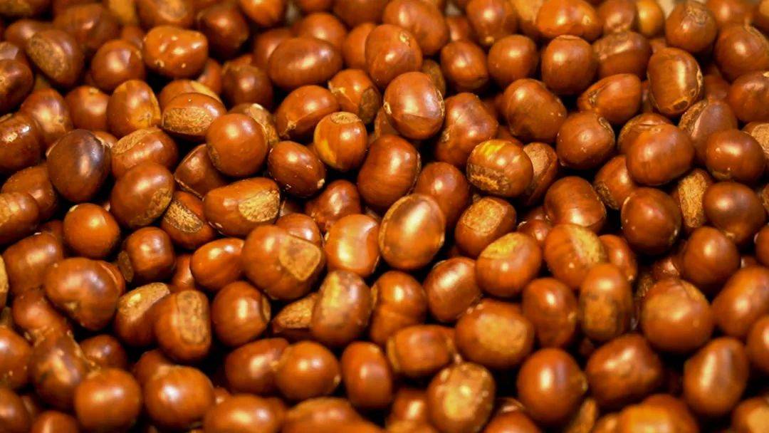 15000份福利券免费送,"粒上皇"请长沙人吃现炒板栗!