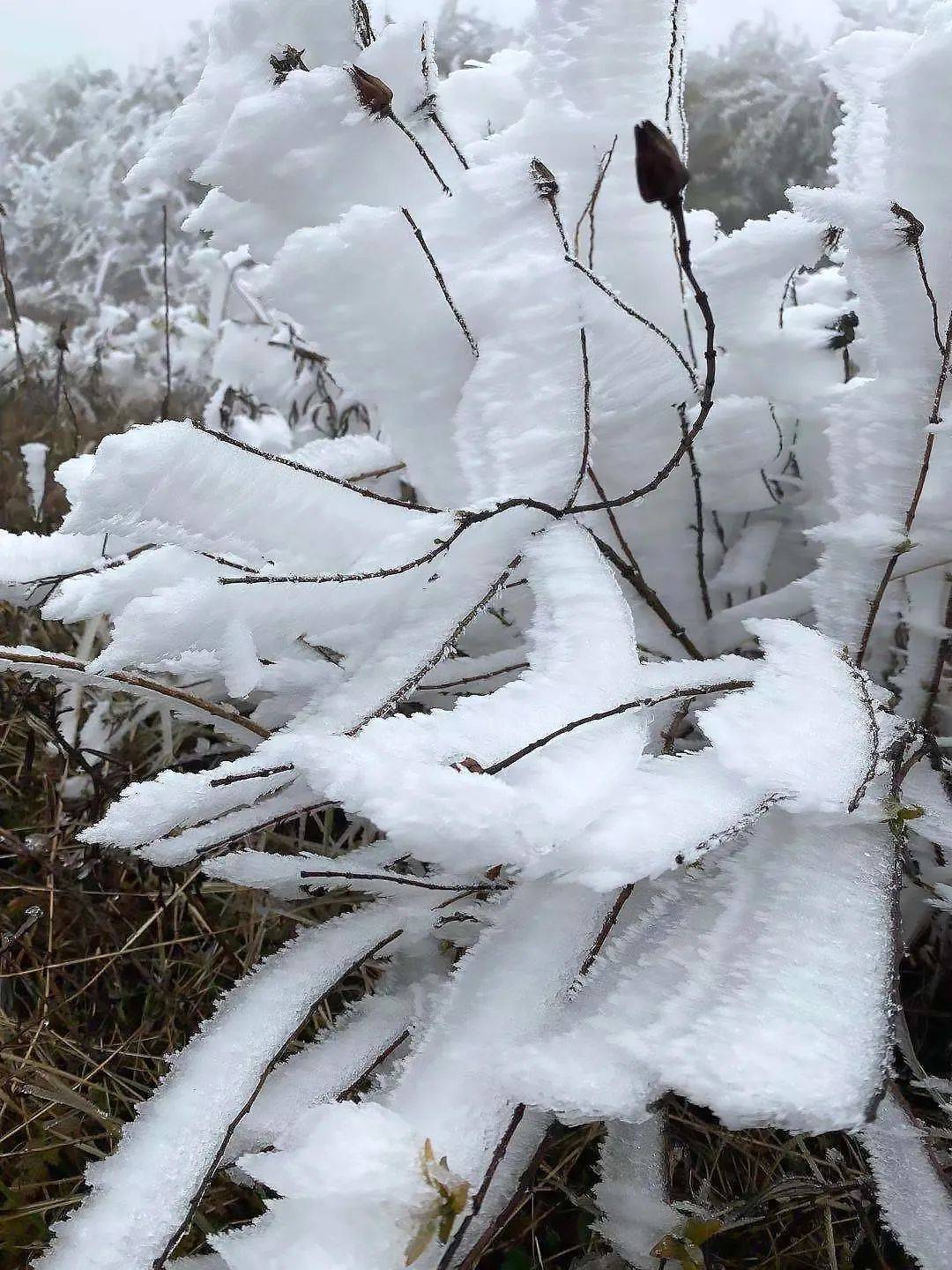 曲靖多地下雪了最冷的地方零下十几度