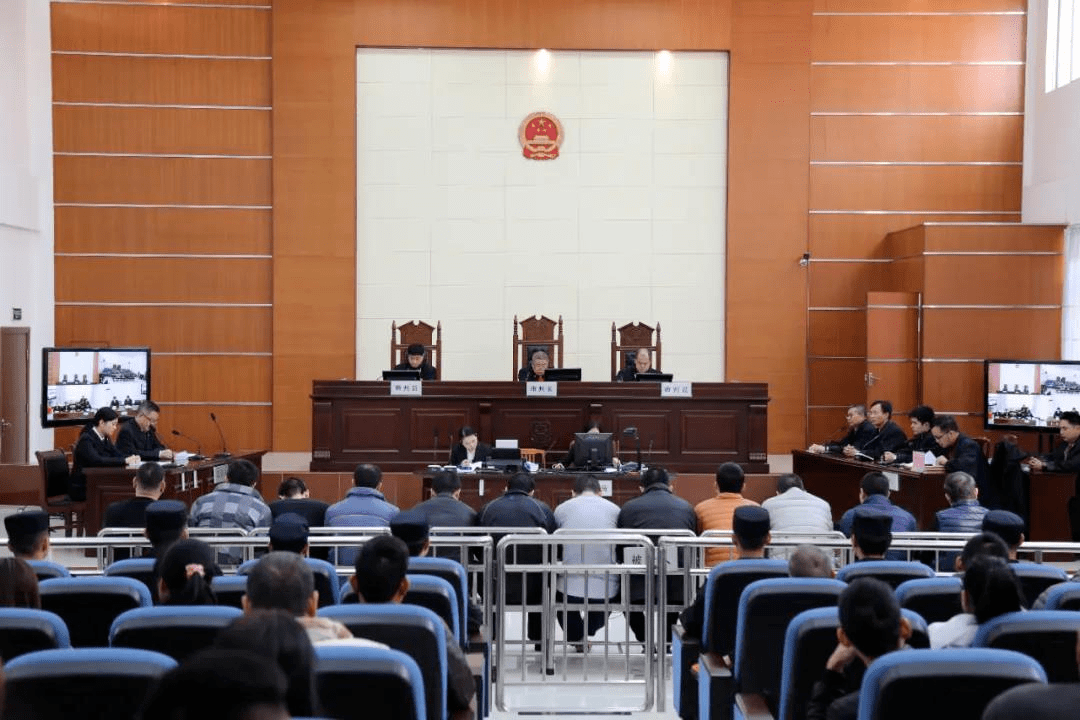 汕头杨某等17人涉黑案非法集资牟利1亿元受害者被恐吓至精神异常