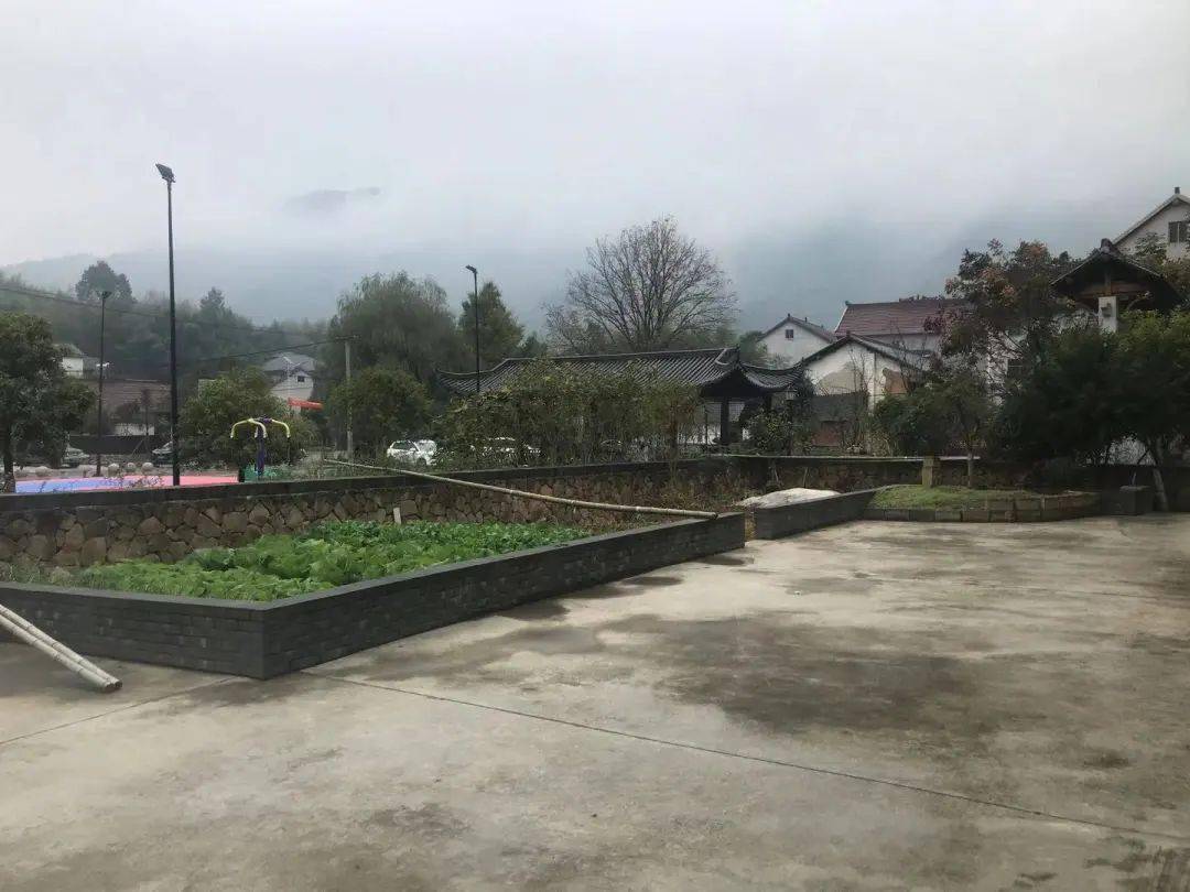 "于一体的特色旅游资源,结合礼堂建设,全面挖掘了徐桥村的历史文化