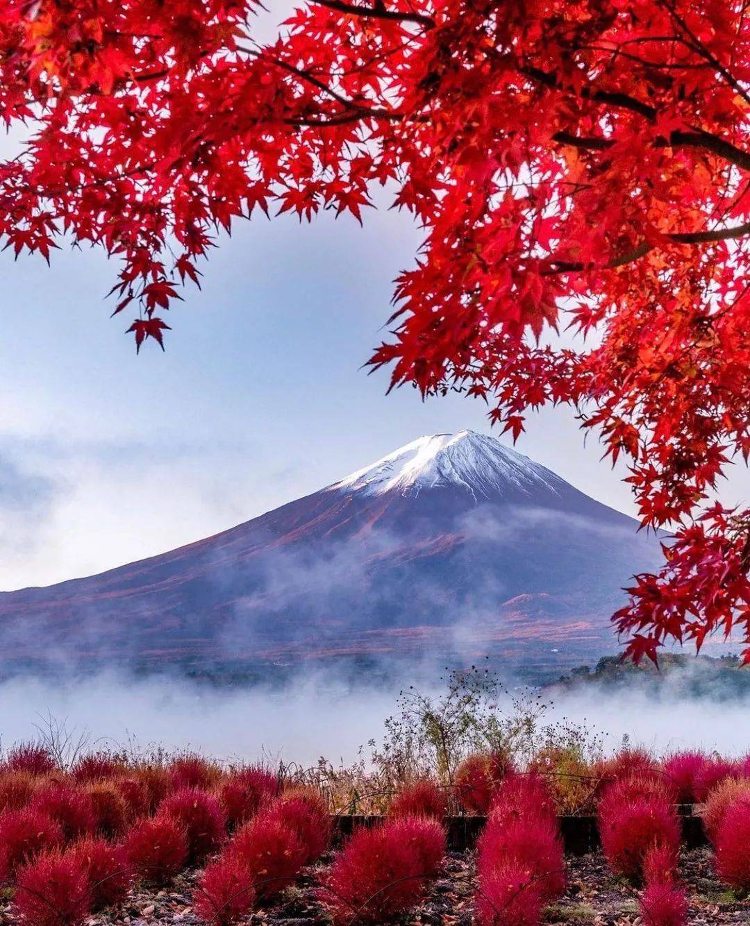 摄影师拍下日本各地红叶绝景有生之年一定要在日本看一次红叶