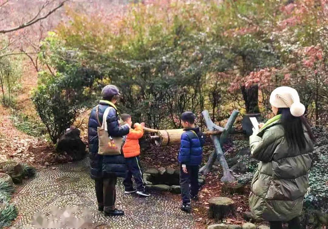 今日,中南百草原景區和中南歐洲牧場景區均迎來了許多家庭,親子,親朋