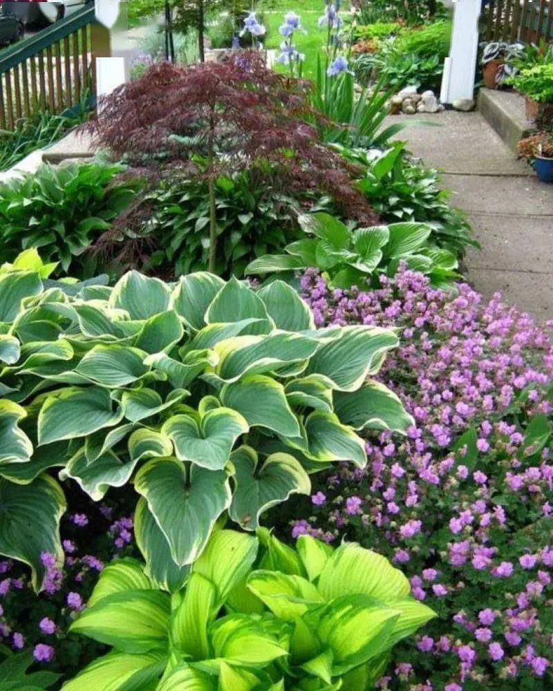 简单易懂的花境配置不同空间层次的植物选择与配置
