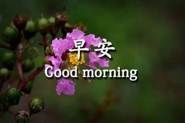 12月21日新的一天温馨早安问候祝福语送给大家暖心的早上好问候图片