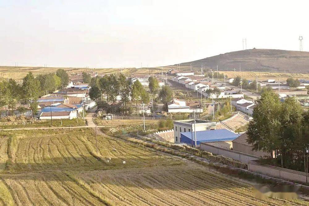 11月24日,海晏县三角城镇海峰村,午后阳光温暖,村中央的