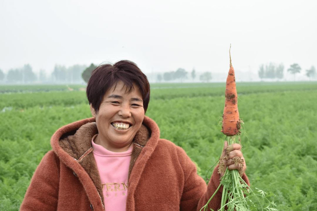 fm87.7 开封通许:丰收的笑脸