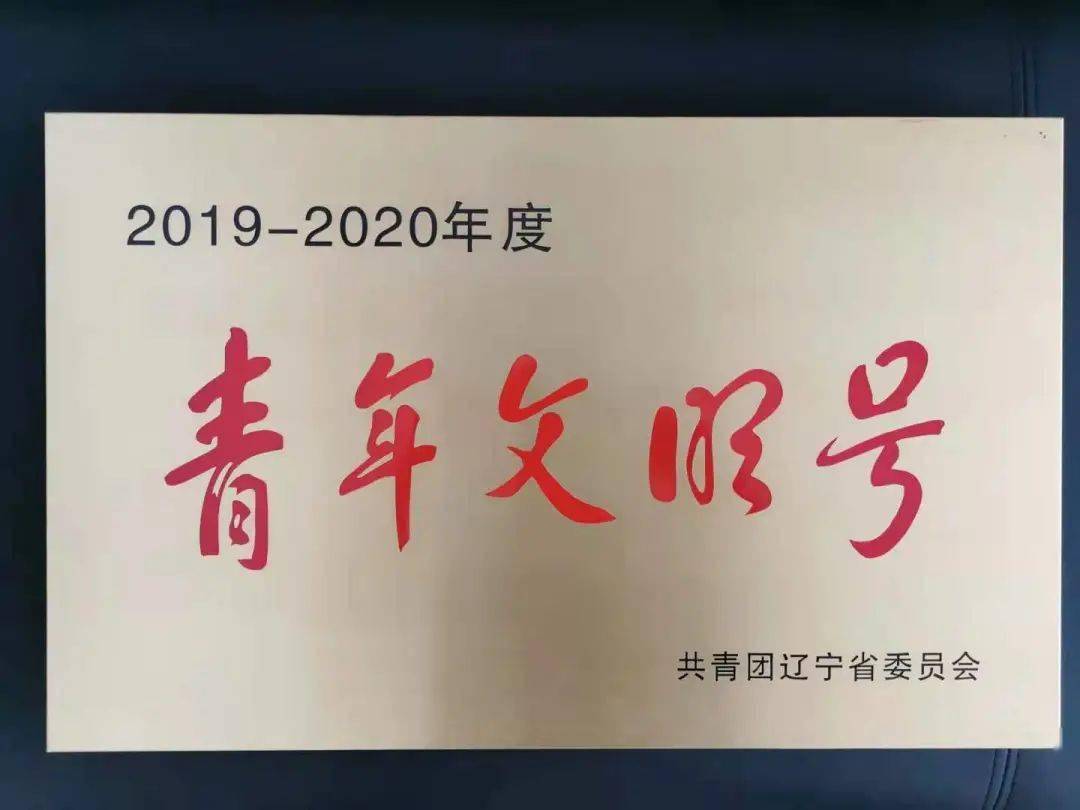 优化营商环境绽放青春风采河北街道荣获辽宁省青年文明号称号