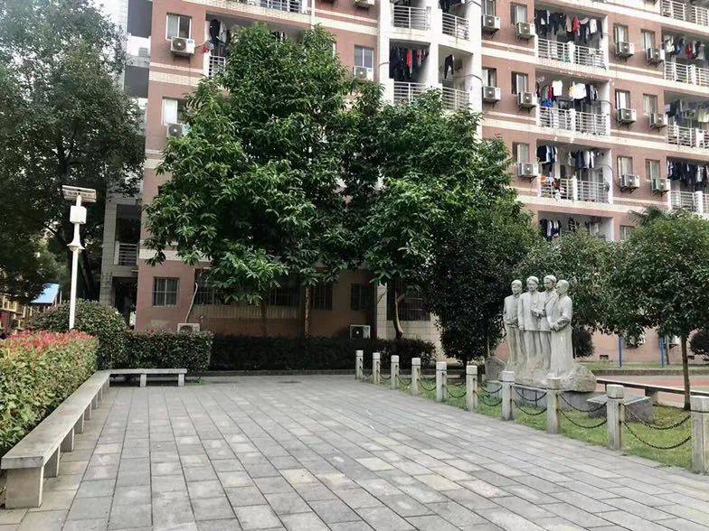 乐跑那些事儿_天马