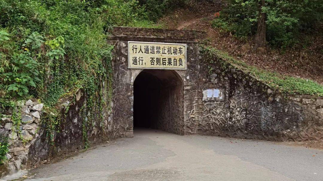 曲江这个隧道正式开通啦!周边居民出行更方便了…_宝山