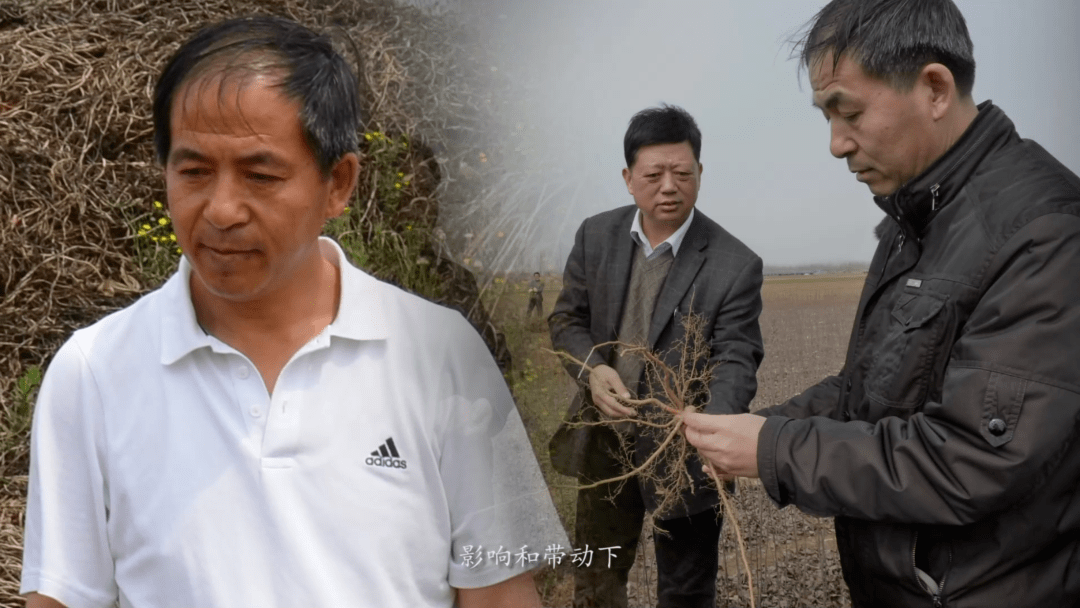 农大二十四节气果蔬教授原永兵的甜蜜事业