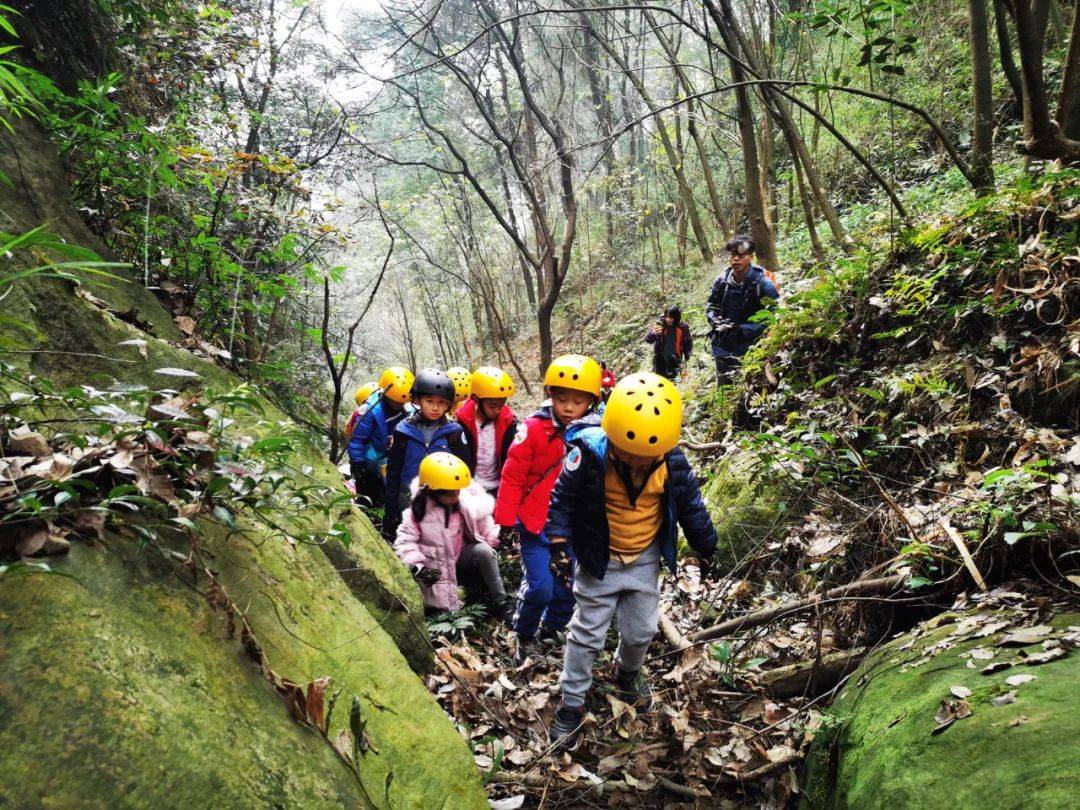 交广乐逍遥·荒野挑战营线下活动回顾_丛林