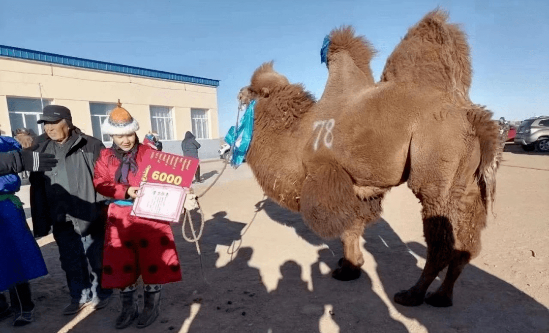 "获得一等奖的潮格温都尔镇西尼乌素嘎查牧民娜仁满都拉激动地说.