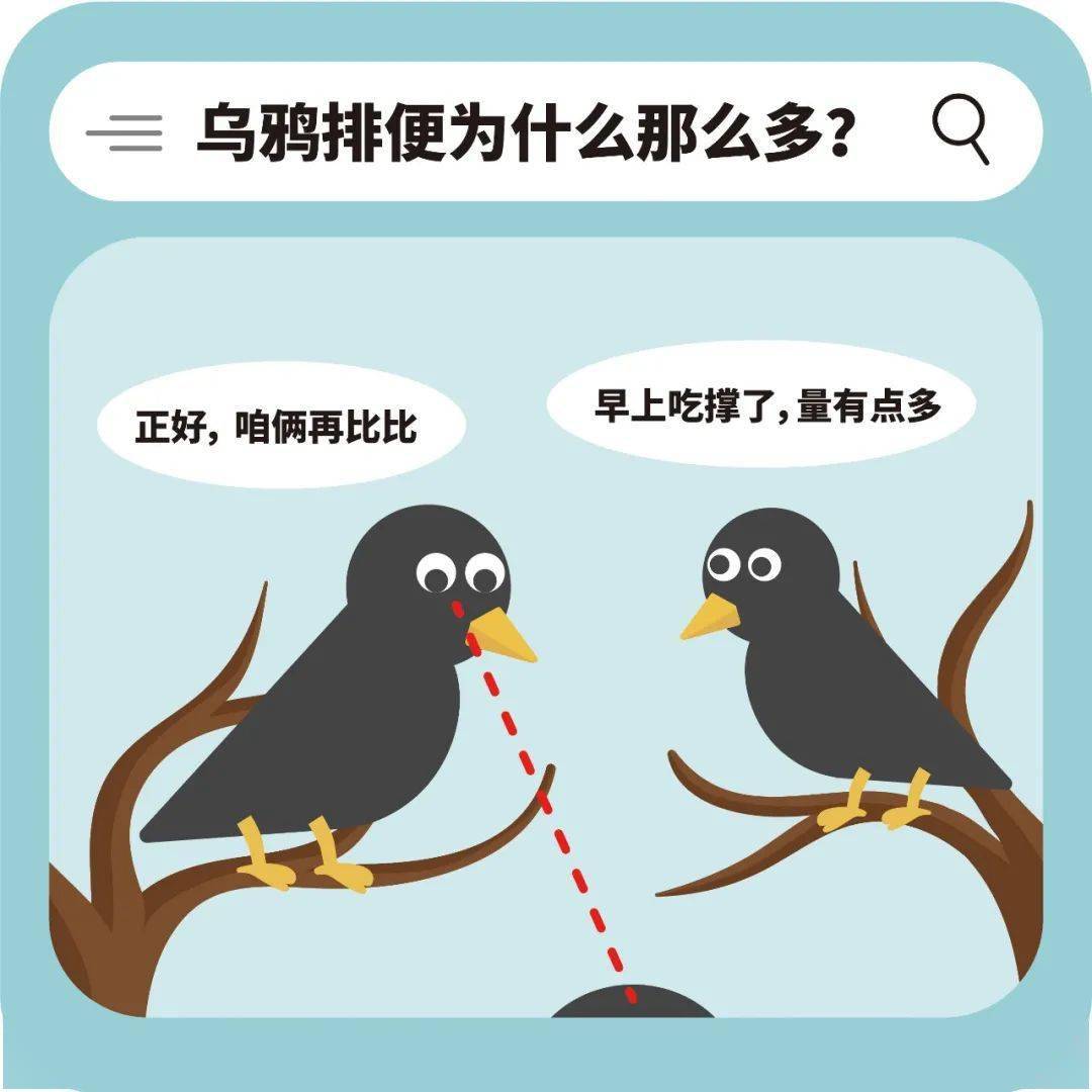 泰菲吃橘子图片