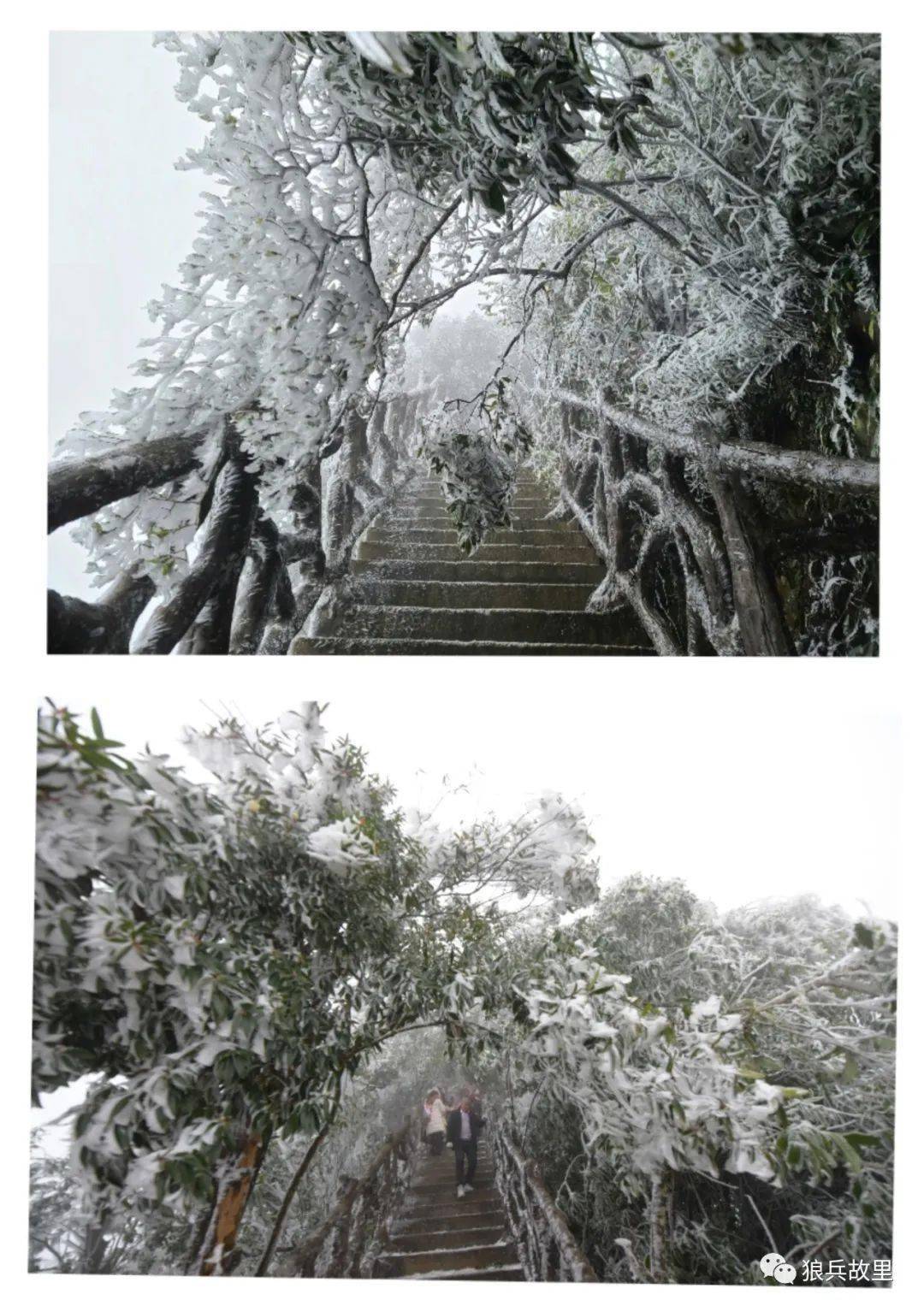 东兰神仙山景区电话图片