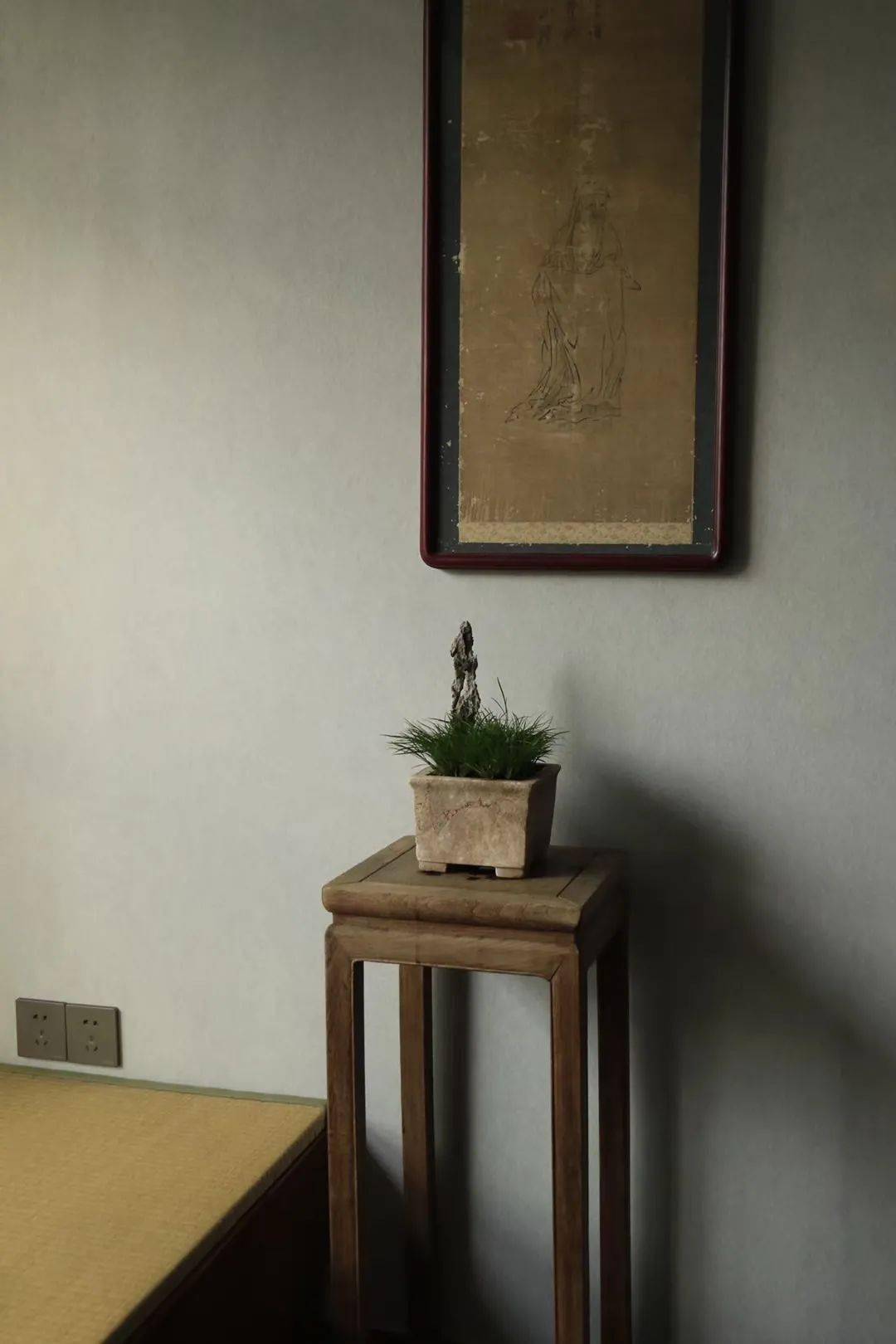 书房清居花光草影