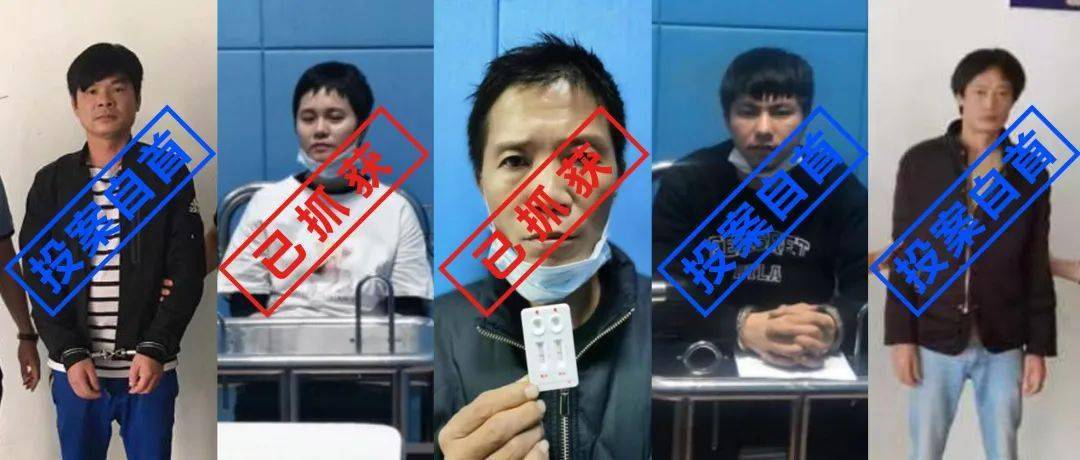 12月涉毒追逃战果丰,5名涉毒逃犯相继到案!