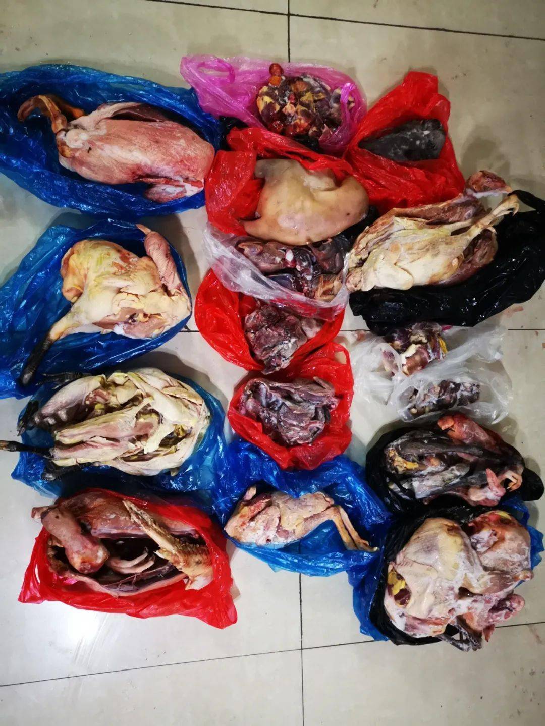 抓获犯罪嫌疑人4名,缴获斑鸠15只,野鸡1只,疑似野生动物尸体20余具