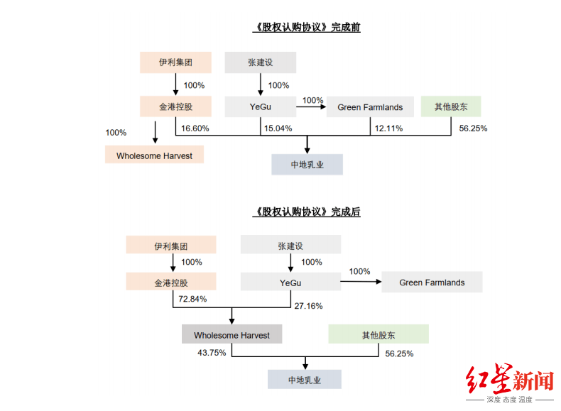 伊利组织结构分析图片