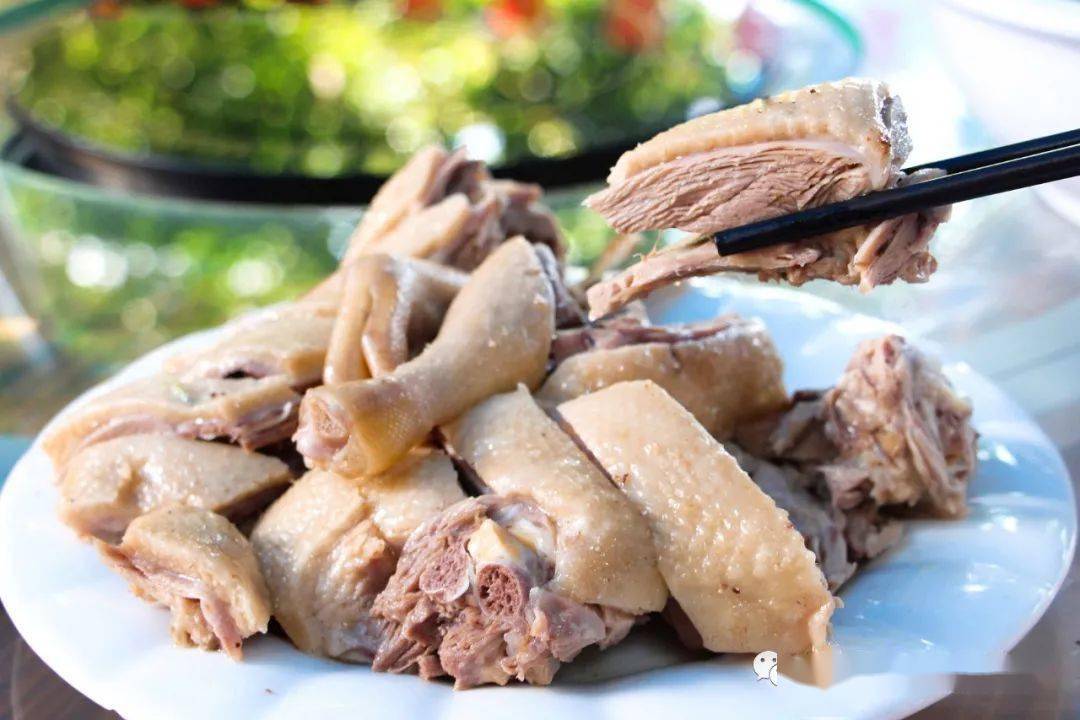 咸水鸭美食演丰有一种幸福,叫"靠海吃海"演丰美食盘点各式各样的演丰