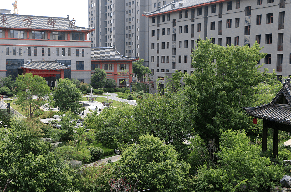 东方御府2020年度关键词盘点