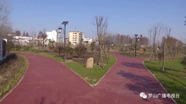 子路镇推进人居环境治理绘就美丽乡村新画卷