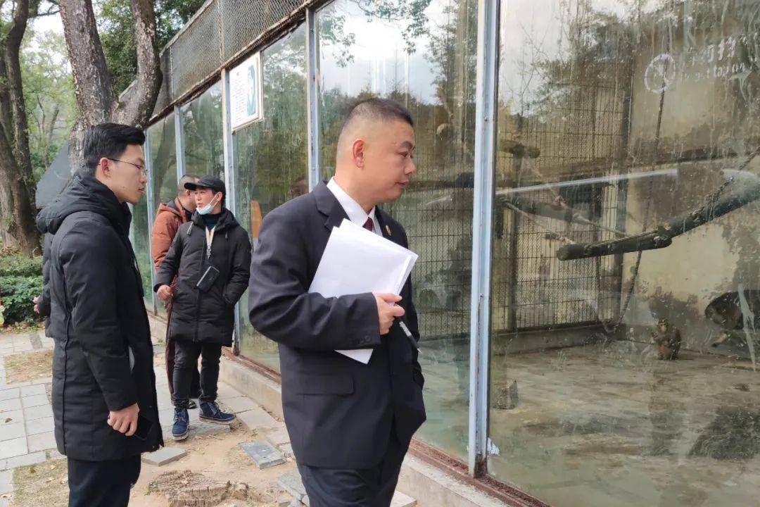 最新后续！桂林七星公园捕捉猕猴引热议，检察院已介入