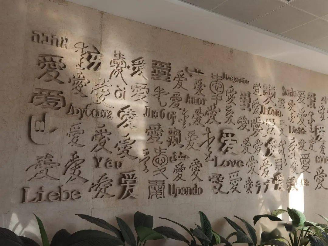 南京技师学院表白墙图片
