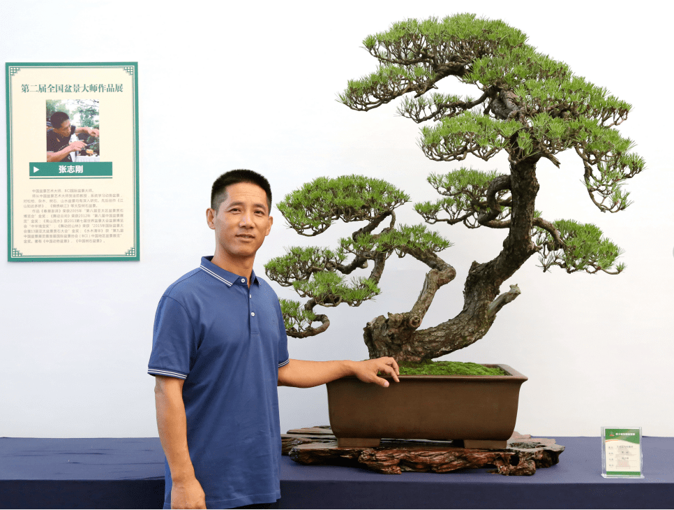 张志刚:松石造景 风骨传神——将高雅融入生活_盆景