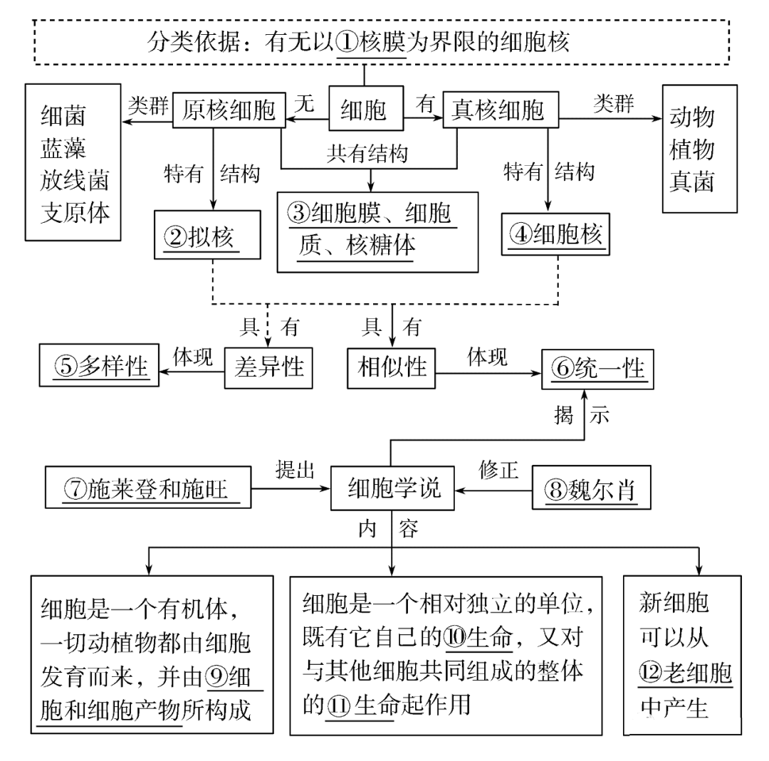 高考生物一輪複習分子與細胞思維導圖專題彙總彙總