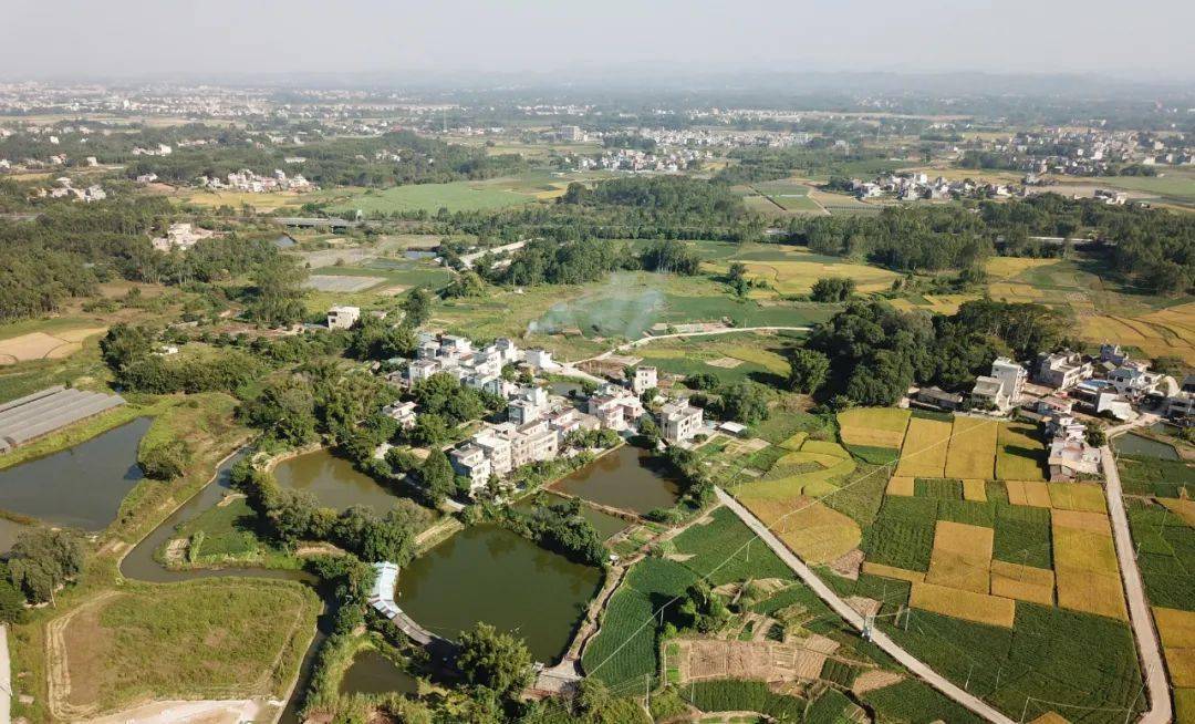 博罗家门口的扶贫车间开启致富加速度